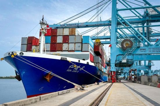 APM Lázaro Cárdenas gana relevancia como hub regional con 61% en transbordos